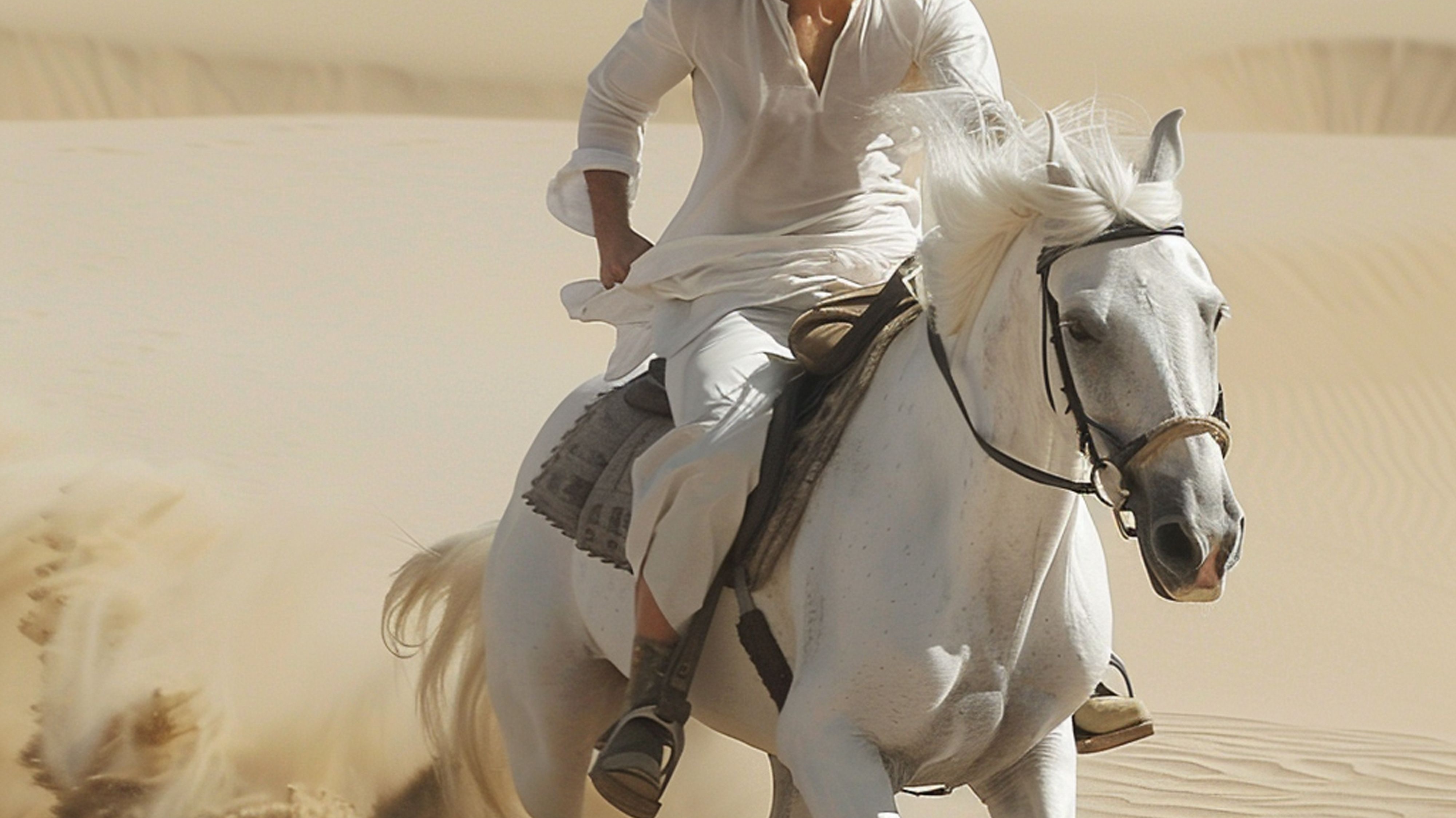 عرض خيل رقم 1