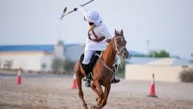 عرض خيل رقم 3